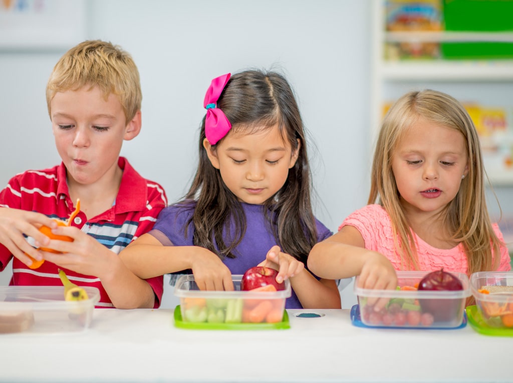 fresh fruit delivered to schools by Kiwi Express Couriers for Fresh Max